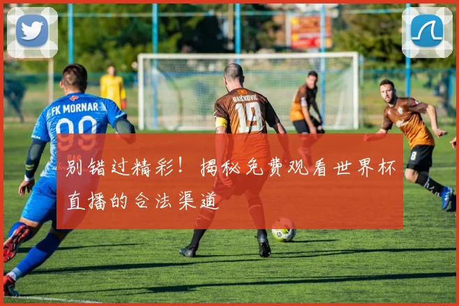 别错过精彩！揭秘免费观看世界杯直播的合法渠道