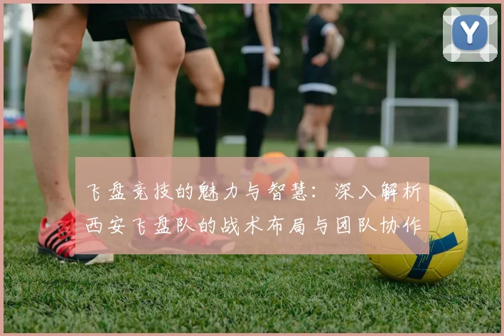 飞盘竞技的魅力与智慧：深入解析西安飞盘队的战术布局与团队协作